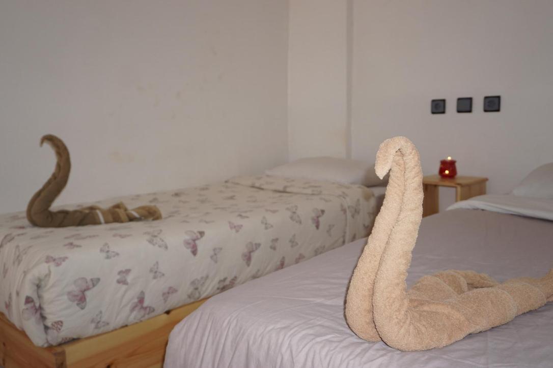 Hostel The Endless House Anchor Point Taghazout Eksteriør bilde
